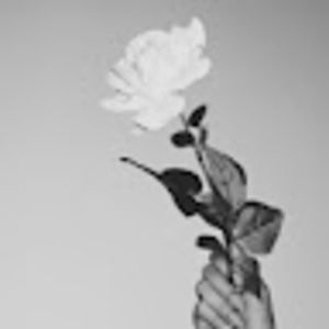 Meet your Posher, Rachelle